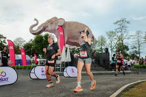 BIB: 
                            <button type="button" onclick="openModal(26529021)" class="btn btn-primary btn-sm float-right btn-popup" data-toggle="modal" data-target=".modal-high-quality">
                        <i class="fas fa-shopping-cart"></i> Add to Cart
                    </button>
                                            <button type="button" onclick="isThisMe(26529021, true)" class="btn btn-success btn-sm float-right btn-popup btn-isme hidden" data-toggle="tooltip" data-placement="bottom" title="นี่คือรูปของคุณใช่ไหม คลิกที่นี่เพื่อเอาเข้าอัลบั้ม">
                        <i class="fas fa-plus"></i> Add to album
                    </button>
                    <button type="button" onclick="isThisMe(26529021, false)" class="btn btn-warning btn-sm float-right btn-popup btn-isnotme hidden">
                        <i class="fas fa-ban"></i> Remove from album
                    </button>